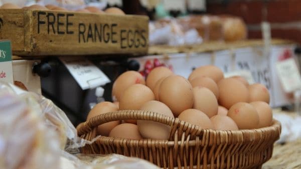 Basket of Brown Free Range Eggs