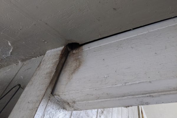 Critter Hole in Wood Siding