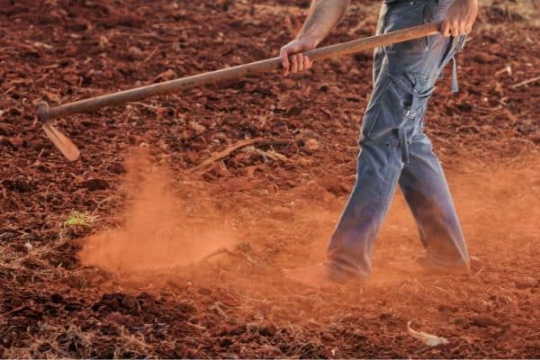 Digging in Red Dirt